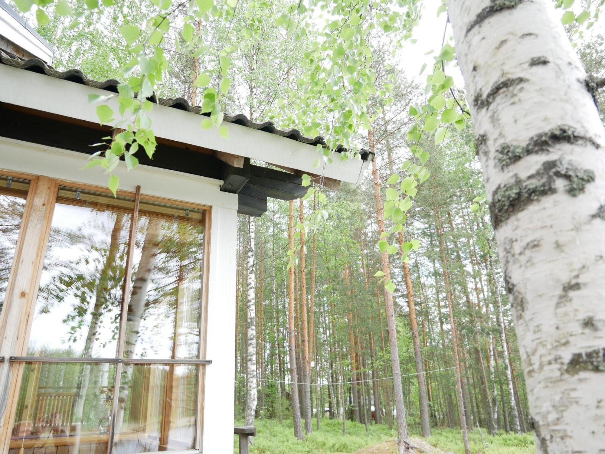 Mökki Aapola Villa Puumala Dış mekan fotoğraf