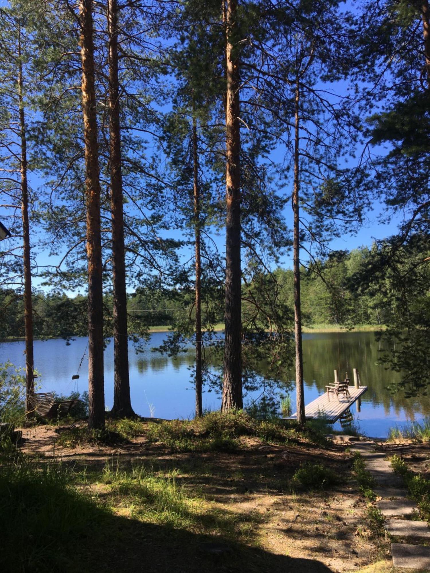 Mökki Aapola Villa Puumala Dış mekan fotoğraf