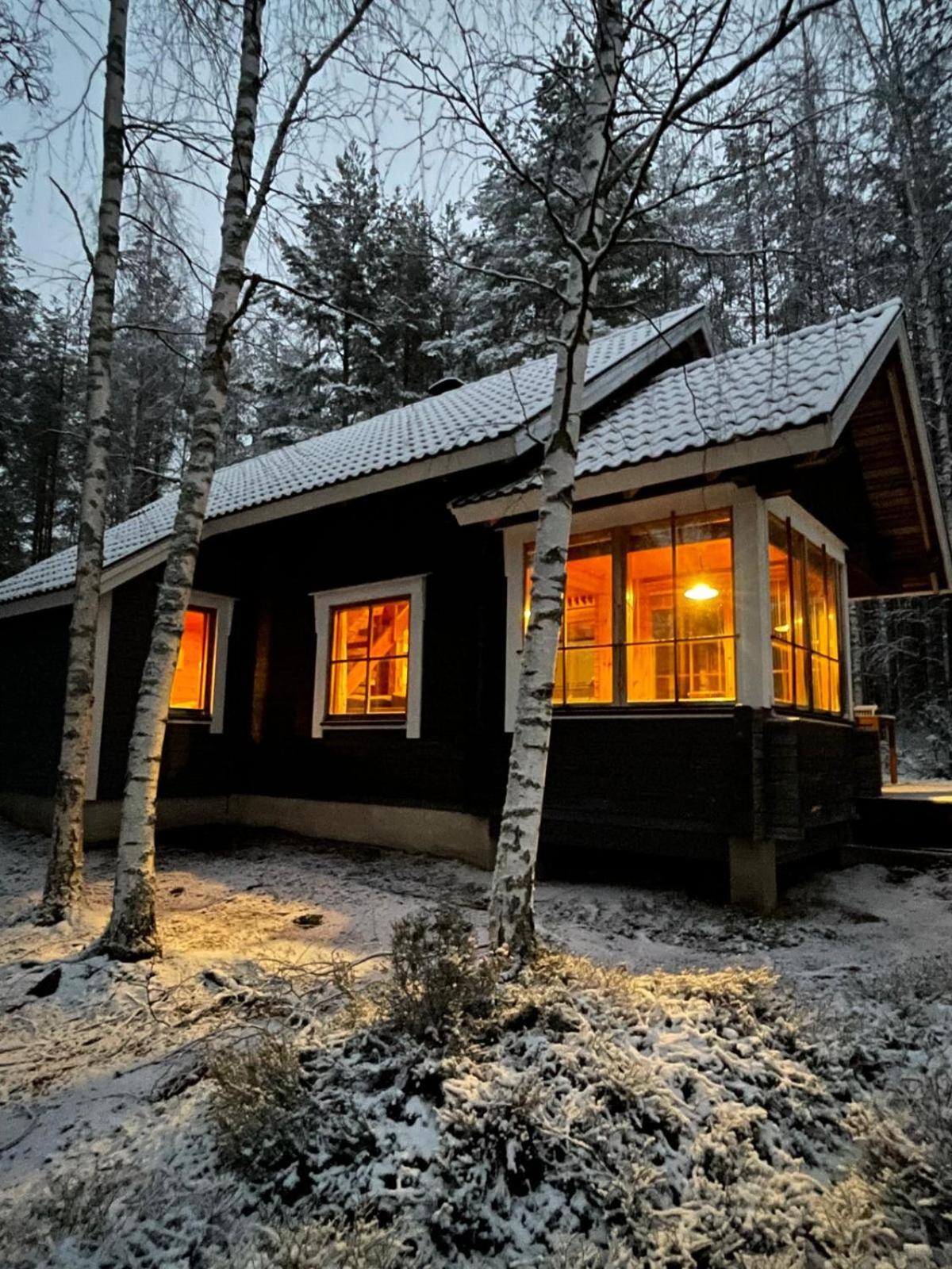 Mökki Aapola Villa Puumala Dış mekan fotoğraf