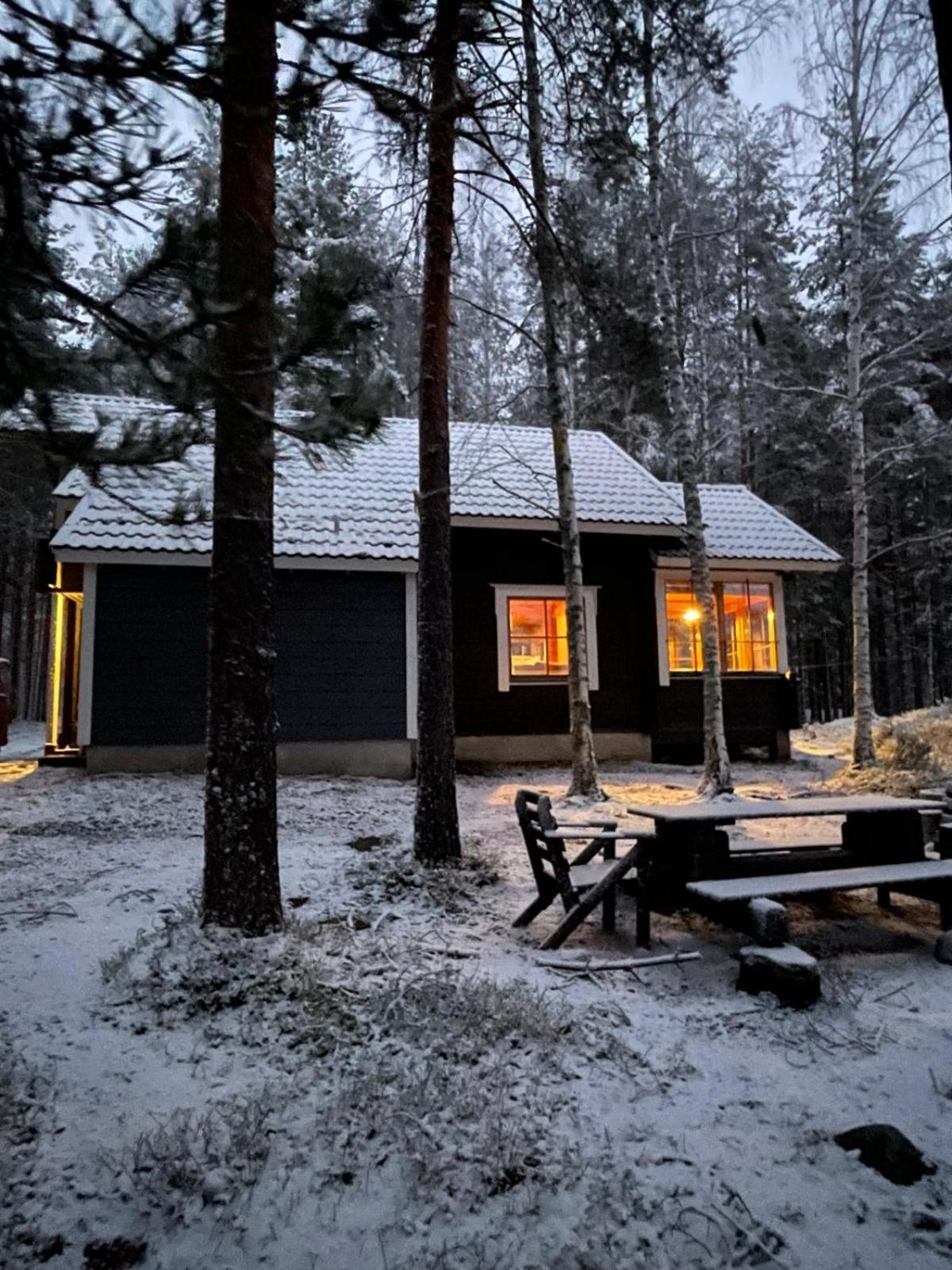 Mökki Aapola Villa Puumala Dış mekan fotoğraf