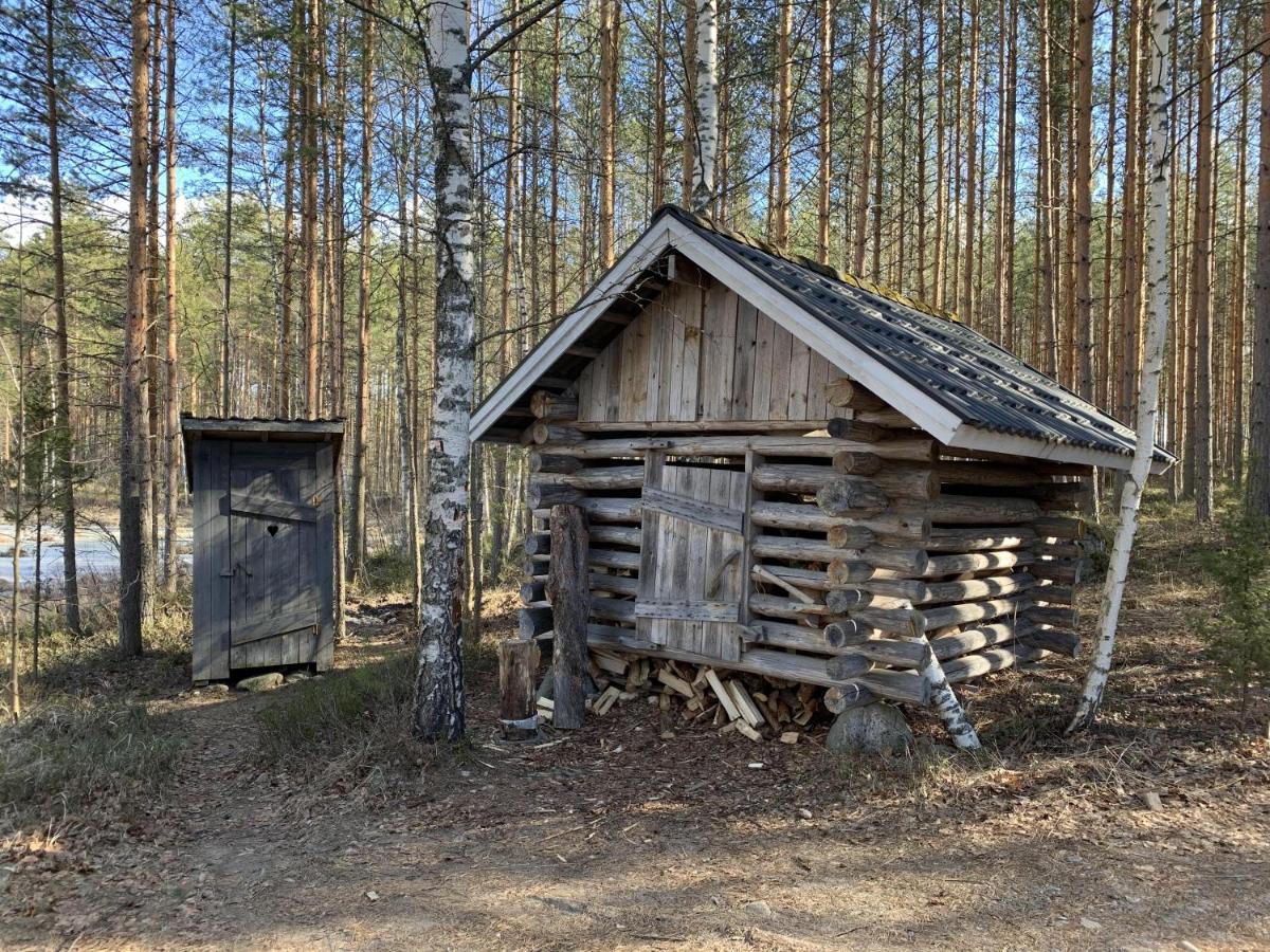 Mökki Aapola Villa Puumala Dış mekan fotoğraf